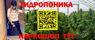 стаф Рузаевка